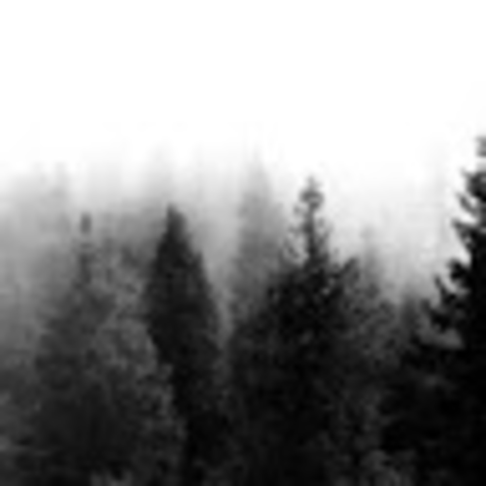 Meet your Posher, Jillian